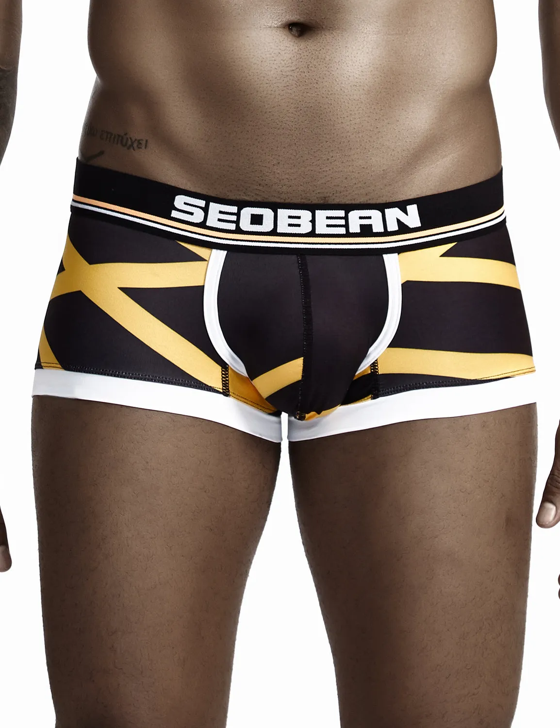 Low Rise Sexy Stripe Boxer Brief 90224