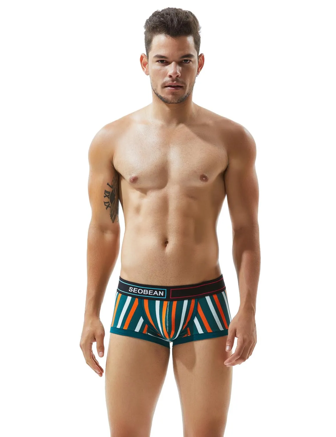 Low Rise Stripe Boxer Brief 80214