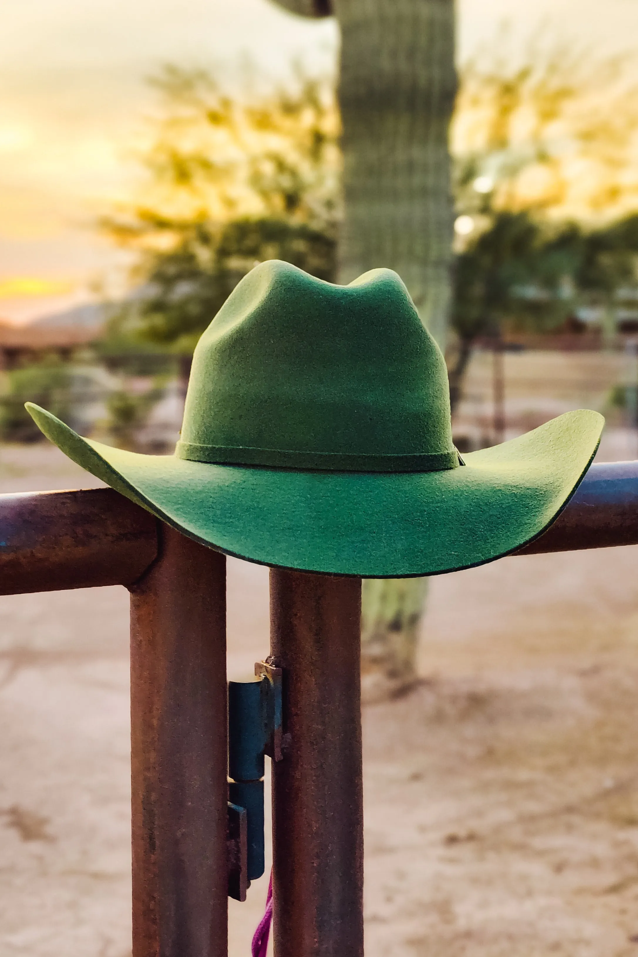 Rodeo Royalty 4x Felt in Emerald